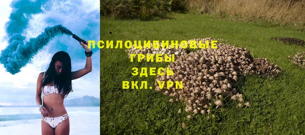 бутират Инсар