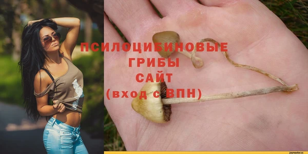 дмт Иннополис
