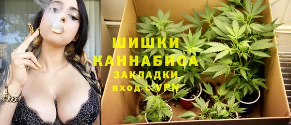 бутират Инсар