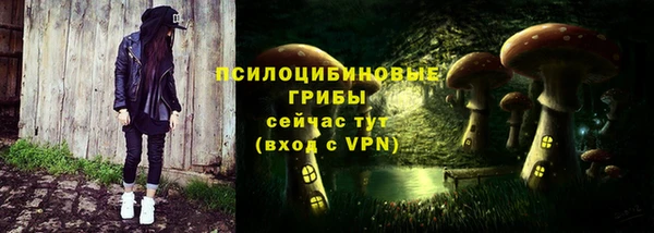 бутират Инсар
