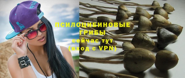 дмт Иннополис