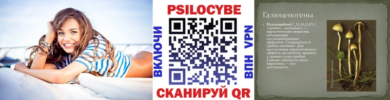 Галлюциногенные грибы MAGIC MUSHROOMS  Купить закладки  Няндома 